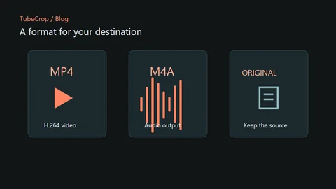 Three output choices: MP4 video, M4A audio and the original source.